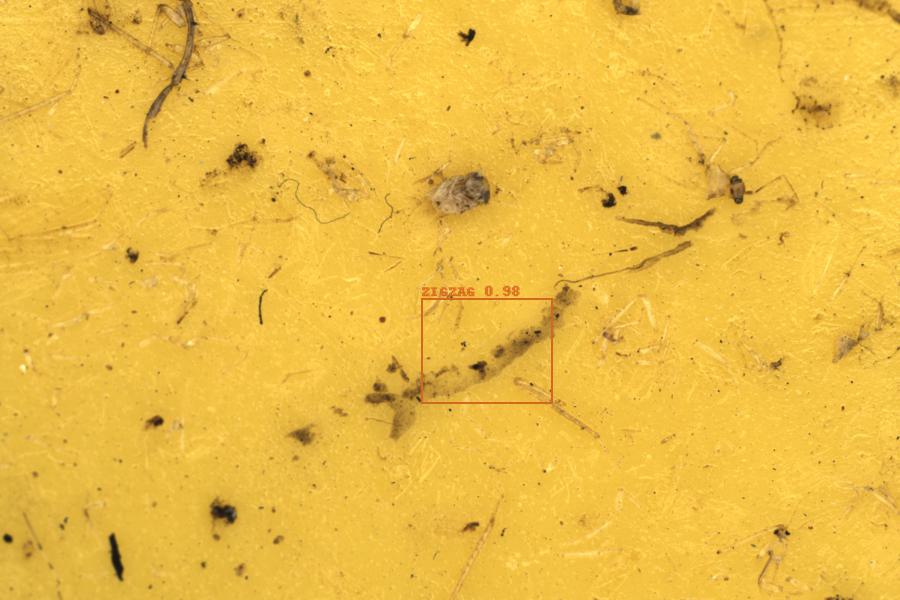 Image 9